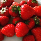 Земляника крупноплодная Соната